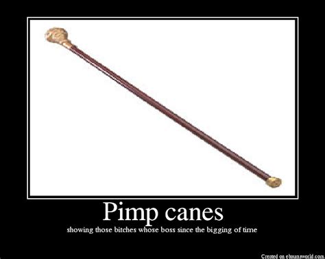 Pimp Canes Picture Ebaums World