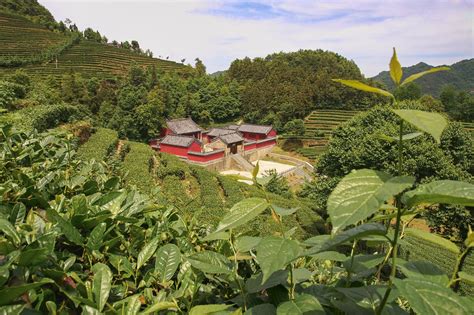 China Wudang The Birthplace Of Tai Chi Learn Photography By Zoner