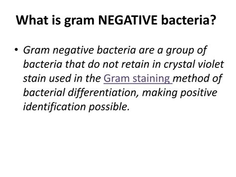 Gram Negative Bacteria | PPT