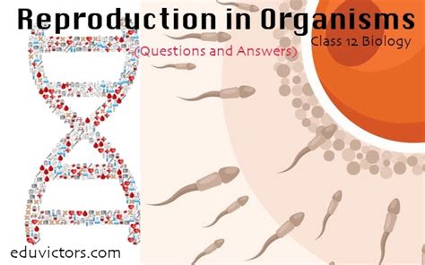 Cbse Papers Questions Answers Mcq Cbse Class 12 Biology