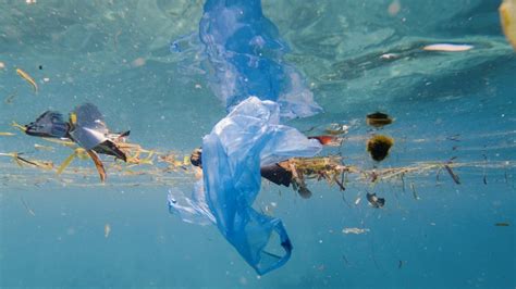 The Top 5 Countries Throwing Plastic Waste In The Oceans World News