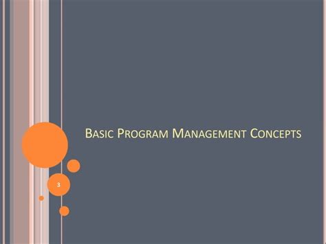 Program And Portfolio Management Basics Brief Ppt Free Download