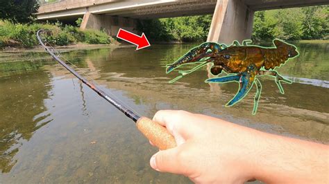 Desperate For A Bite How Live Crawfish Can Help You Catch Picky