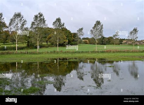 Trees Reflected In Water In A Waterlogged Field By Broughton Castle