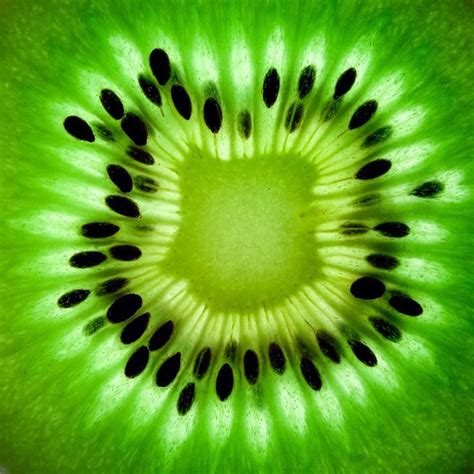 Kiwi Pattern Photography Fruit Photography Macro Photography