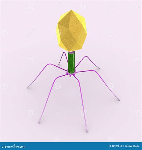 Bacteriophage Model Beneficial Virus Stock Illustration