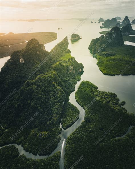 Aerial view of Phang-Nga bay at sunrise, Thailand - Stock Image - F040/4811 - Science Photo Library