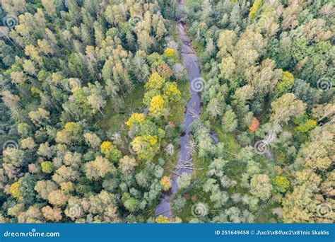 Aerial Top Down View Of Winding River Flowing Through Green Forest