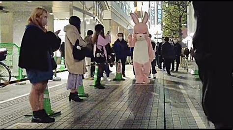 Tachinbo And Rabbit In Shinjuku Kabukicho YouTube