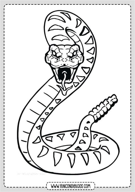 Dibujos De Serpientes Para Colorear Imprimir Y Colorear Serpientes Dibujo De Serpiente