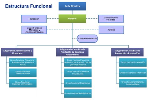 GENERAR NÓMINA DE SALARIOS Y COMPENSACIONES: ESTRUCTURA DE LA ORGANIZACIÒN