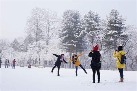 Winter Nami Island Tour: Strawberry Farm and Garden of Morning Calm ...