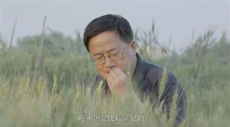 科技人物 邓兴旺 辞去耶鲁终身教职回国，初心“就是让农民少辛苦多赚钱”澎湃号·政务澎湃新闻 The Paper