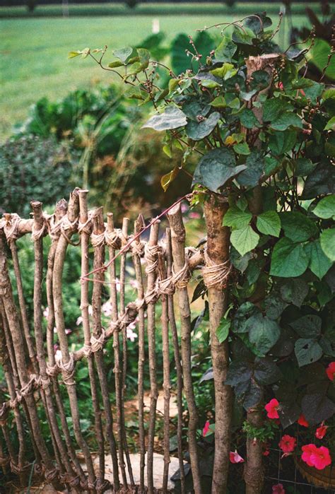 Rustic Fence Ideas - Councilnet