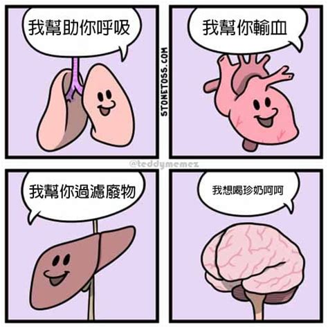 翻譯 廢物大腦 梗圖板 Dcard