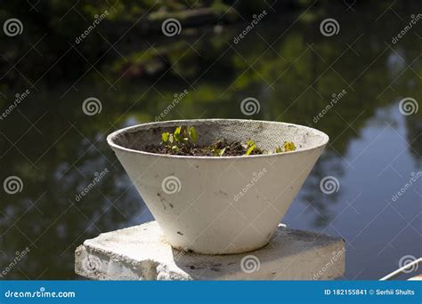 Old Flower Vase Stock Image Image Of Citybestpics