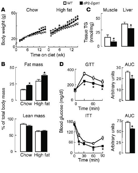 Figure Ap2 Dgat1 Mice Are Prone To Obesity But Protected Against Its