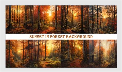 Sunset in Forest Background Graphic by Ansart · Creative Fabrica