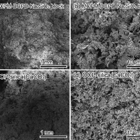 Fe Sem Micrographs Of A B Ocp Silica From Mcpm Dcpd And C D