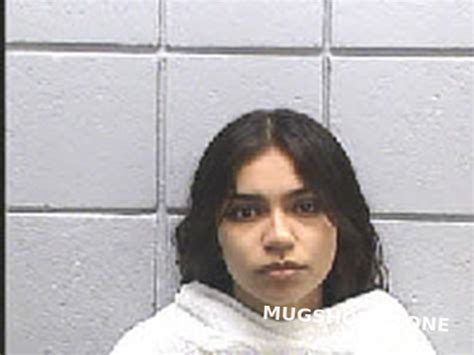 Cisneros Heaven Cynthia Navarro County Mugshots Zone