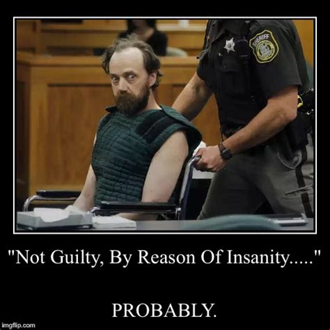 Not Guilty By Reason Of Insanity Imgflip