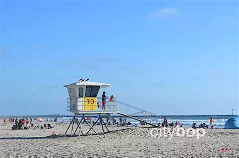 10 BEST Things to Do at Mission Beach - CityBOP