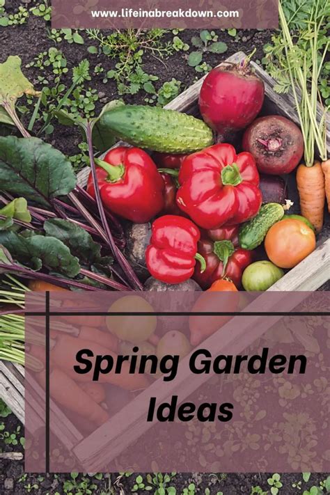 Spring Garden Ideas - Life in a Break Down