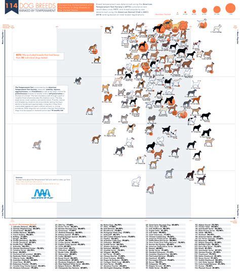 Which dog breed has the best temperament?