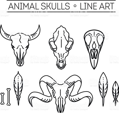 Animal Skull Line Drawing