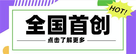 全国唯一的稀缺公司，新能源行业隐形冠军，业绩大增400，极具成长性！ 绿能慧充sh600212 盛弘股份sz300693