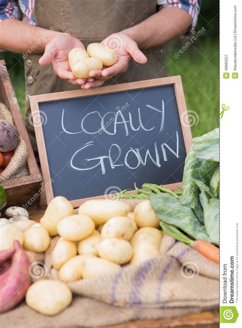 Farmer Selling Organic Veg At Market Stock Image Image Of Market