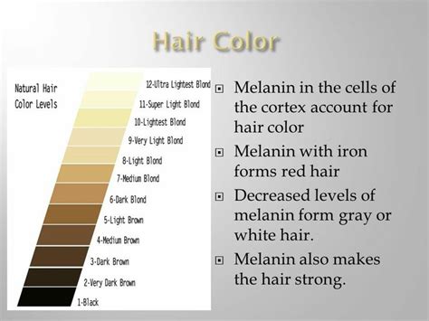 Melanin function Blonde Hair Color, Red Hair, Colour Correction ...