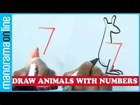 draw animals  birds  numbers    youtube