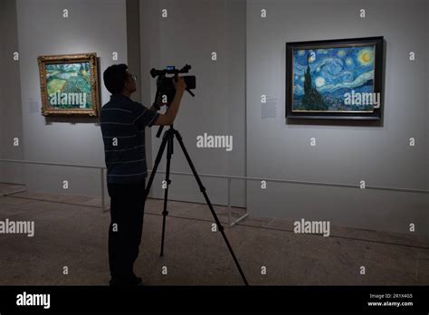 Press Preview Opening Of Van Gogh S Cypresses Exhibition At The Met