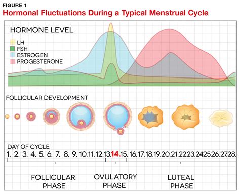 Premenstrual Dysphoric Disorder Diagnosis And Management In Primary Care Clinician Reviews