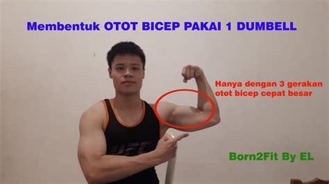 Variasi Latihan Otot Bicep Dengan Dumbell Youtube