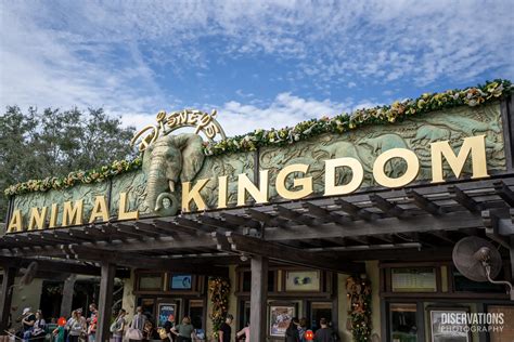 Disney World Raises Ticket Prices For Diservations