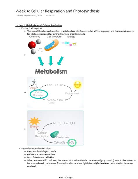 Bios 110 Week 4 Pt 1 Bios 110 Cells And Organism Notes Lecture 1