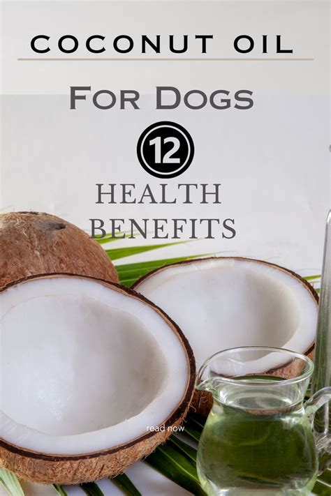 Coconut Oil Health Benefits For Dogs Coconut Oil For Dogs Oils For