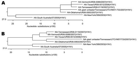 Figure Influenza Virus A H1N1 In Giant Anteaters Myrmecophaga