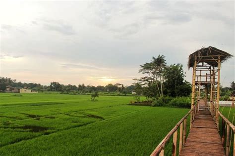 6 Wisata Alam Yang Ada Sungai Dan Sawah Di Sleman Jogja Dengan View