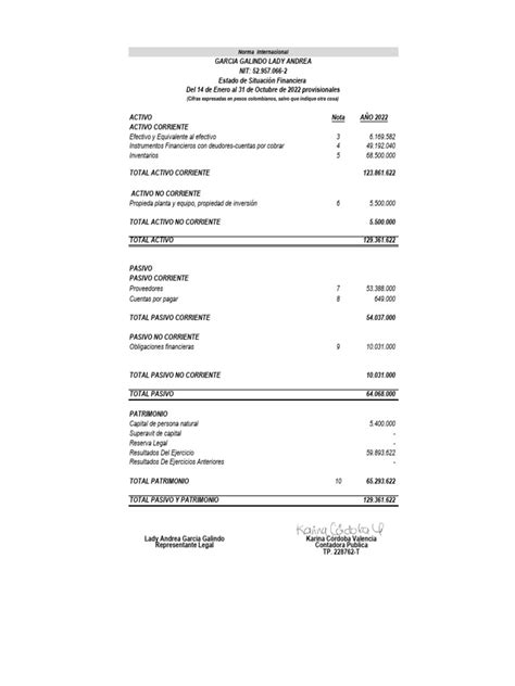 Estados Financieros 2022 Lady Garcia 2 Pdf Normas Internacionales