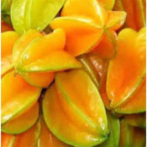 Jual Belimbing Madu Segar Petik Pohon Per Kg Shopee Indonesia