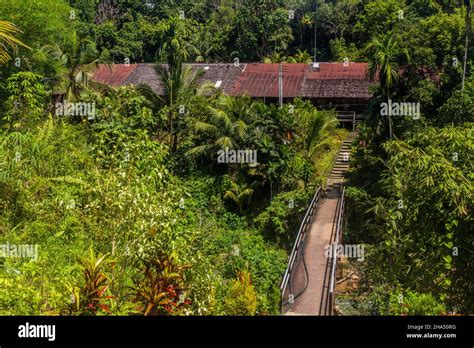 Traditional Longhouse Near Batang Rejang River Sarawak Malaysia Stock