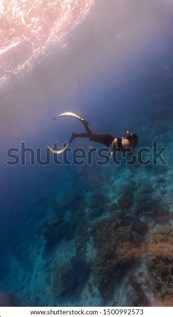 Sexy Girl Wearing Bikini Freediving Down Stock Photo Shutterstock