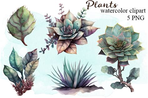 Plants Watercolor Clipart Graphic by AQVAMARYPRO · Creative Fabrica