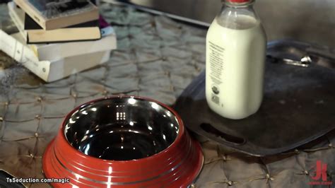 Shemale Cat Anal Fucked By Muscular Man