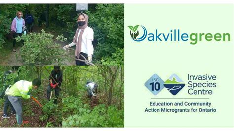 Invasive Species Centre Microgrant Feature Oakville Invasive Species Action Campaign Invasive