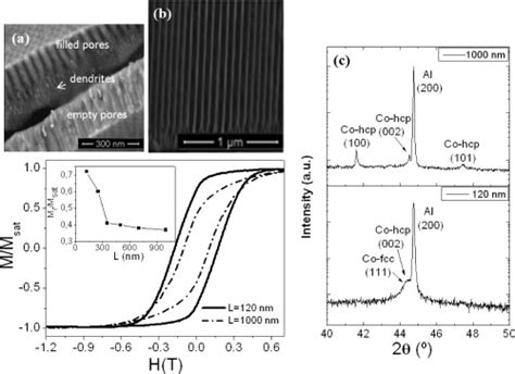 A And B Sem Of Cross Sectional View Of Aao Membranes Filled With