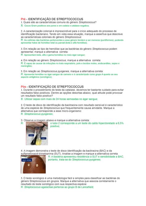 Identificação De Streptococcus Pré IdentificaÇÃo De Streptococcus